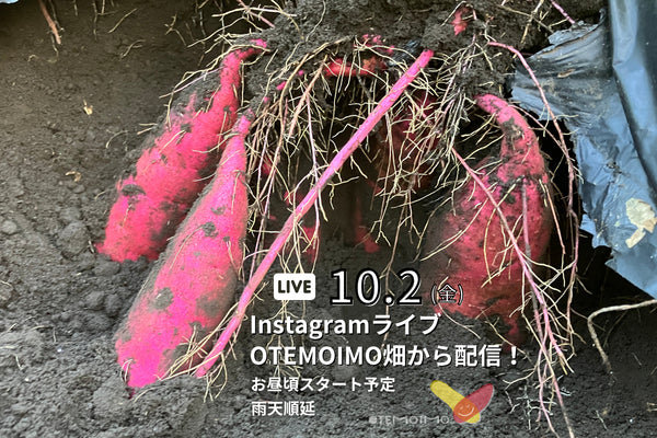 ロシアン佐藤プロデュースOTEMOTOプロジェクトとヤマブキファームかコラボ!共同ブランドべにはるかOTEMOIMO-おてもいも-