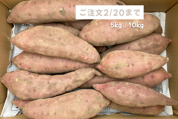 注文受付2/20まで【規格品】ヤマブキファーム|農園直送 土付きべにはるか|レシピカード付き