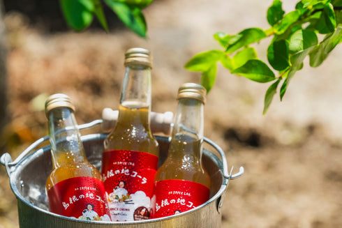 島根の地コーラ