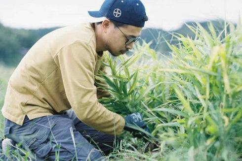島根県雲南市の小さなスパイス農家 出雲SPICE LAB.
