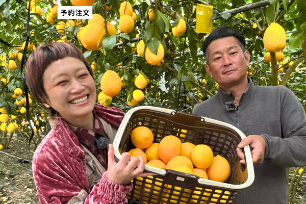 皮まで食べられる八丈島レモンとロシアン佐藤