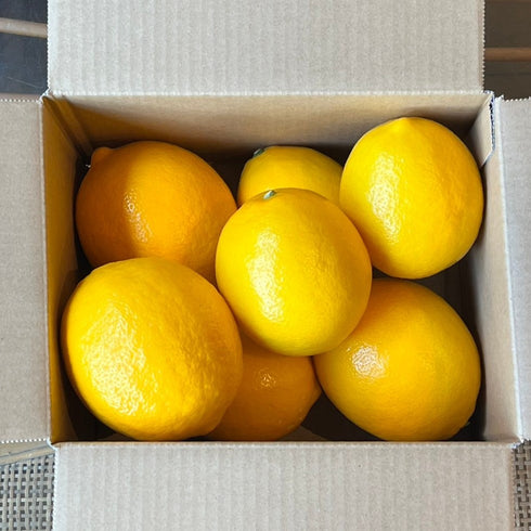 八丈フルーツレモン2kg