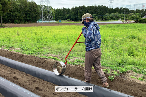 ロシアン佐藤プロデュースOTEMOTOプロジェクトと茨城県のヤマブキファームがコラボ。土付きふぞろいべにはるか。産地直送