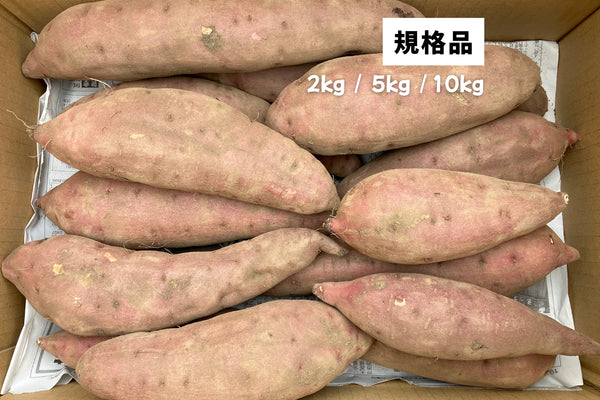 【数量限定】規格品 ヤマブキファーム直送 土付きべにはるか|OTEMOTOオリジナルレシピカード付き